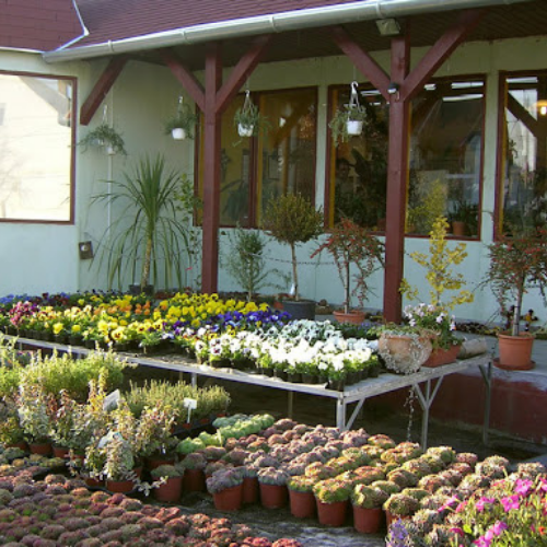 Kedvezményes növények