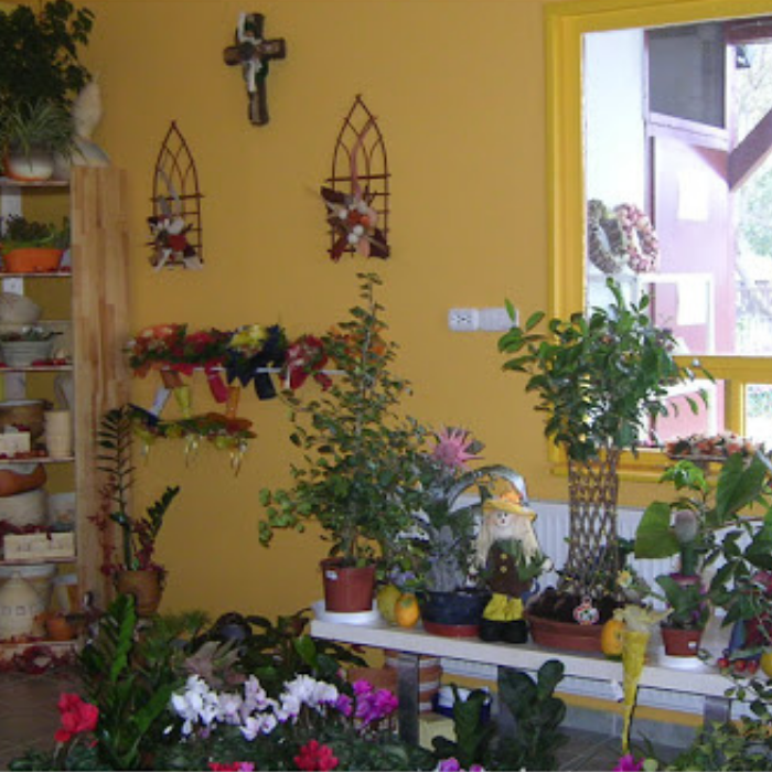 Kedvezményes növények