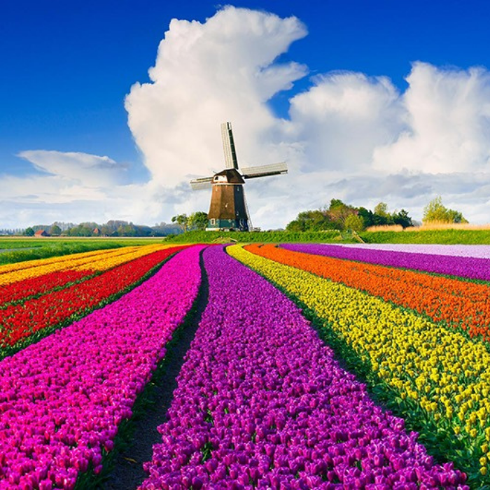 Kultúrális körutak, városlátogatások, kiscsoportos repülőutak kedvezményesen